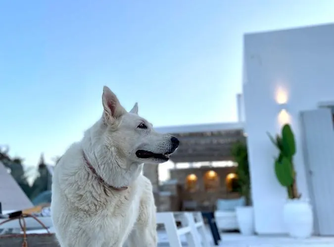 Villa Sunsenses Luxury Paros *