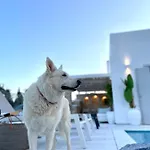 Villa Sunsenses Luxury Paros *