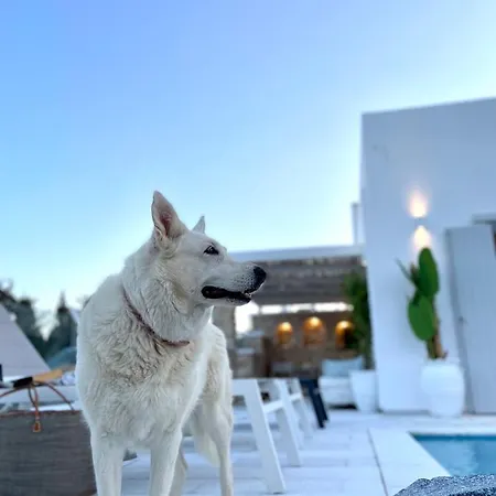 Вилла Sunsenses Luxury Paros *