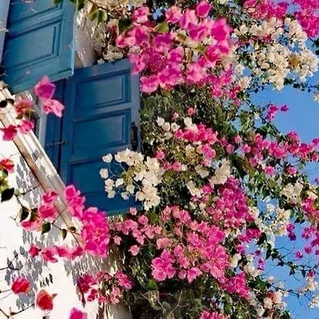 Sunsenses Luxury Paros Piso Livadi